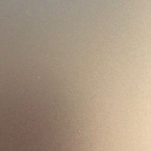 Meet your Posher, Bianca